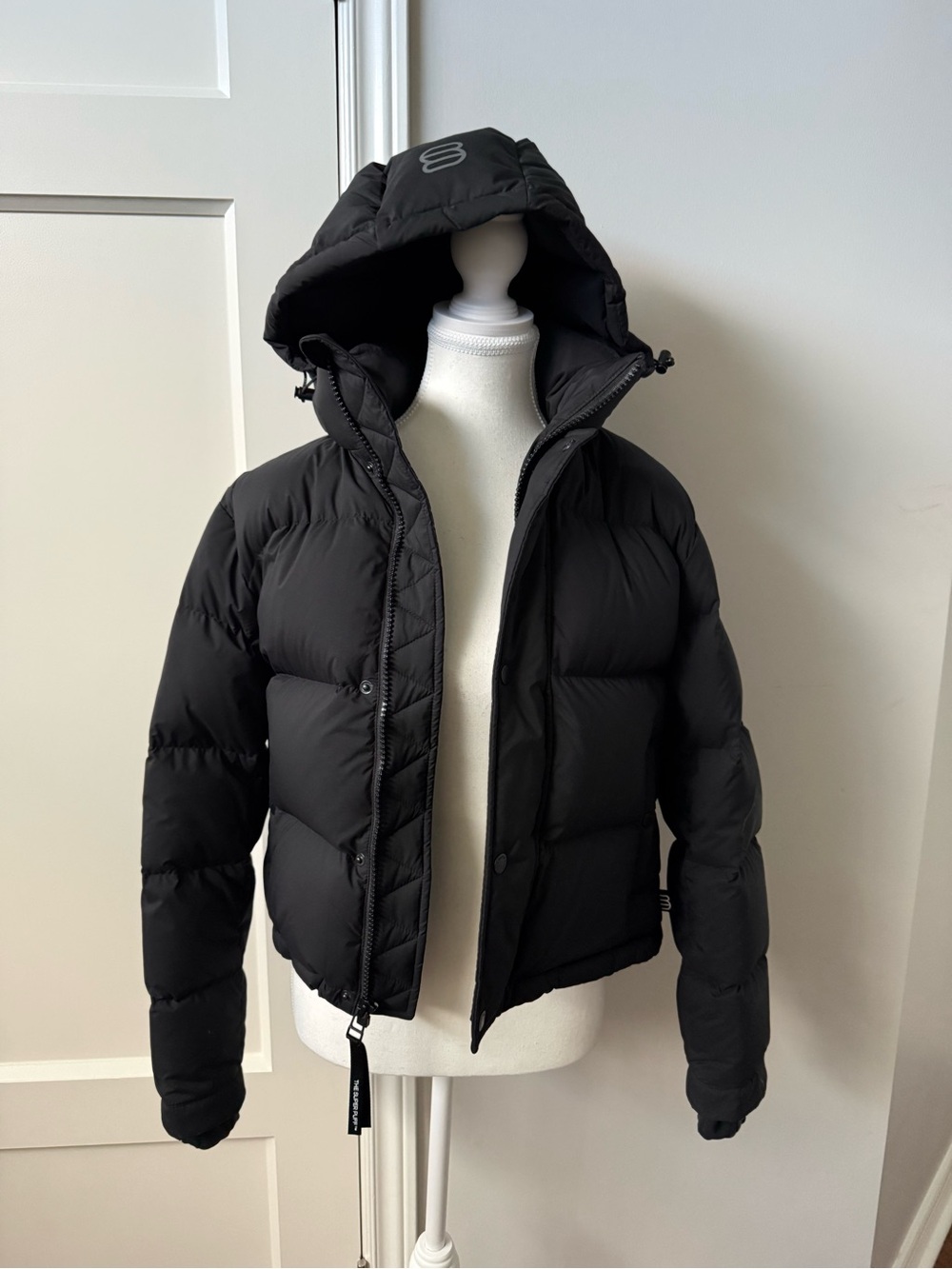 Aritzia Super Puff Extra Shorty